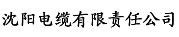 橙子视频成人电缆厂logo